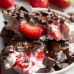 Chocolate Strawberry Yogurt Clusters
